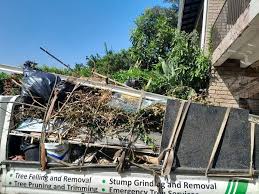 Best Moving and Downsizing Cleanouts  in Pioneer, OH